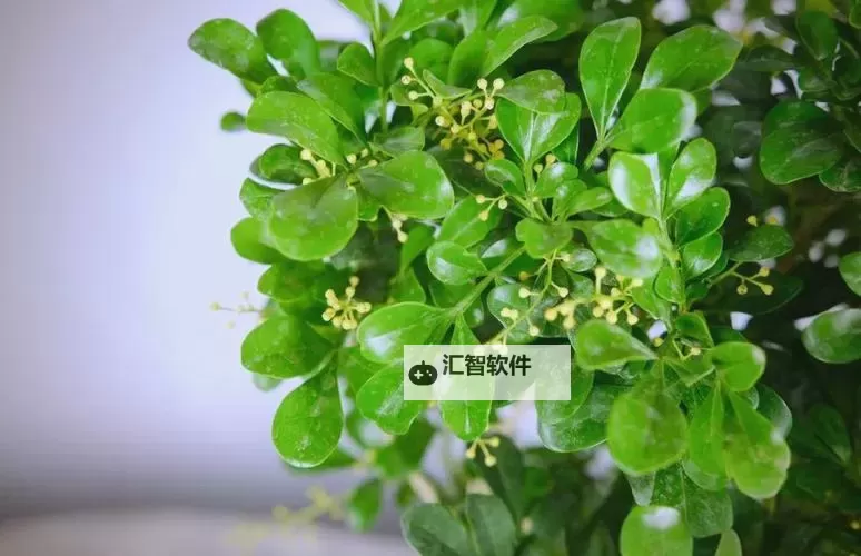 《潜行者2切尔诺贝利之心》东奔西找支线任务攻略图1