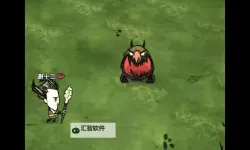 《饥荒》猎犬群击杀攻略 怎么击杀猎犬群