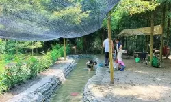 从基础到创新：优质rb灌溉jy系统沉浮的关键因素与应用前景