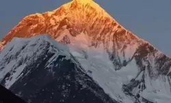 5566色撸风波：粉丝热议背后的娱乐圈隐私与伦理