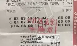 长期守号最佳5注：稳健购彩的实战解密与案例分享